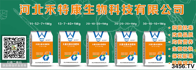 ��ϲ�ӱ����ؿ����ﺞ�s3456.TV����(zh��n)������(j��)���ل�(chu��ng)�ѿ�(j��)��