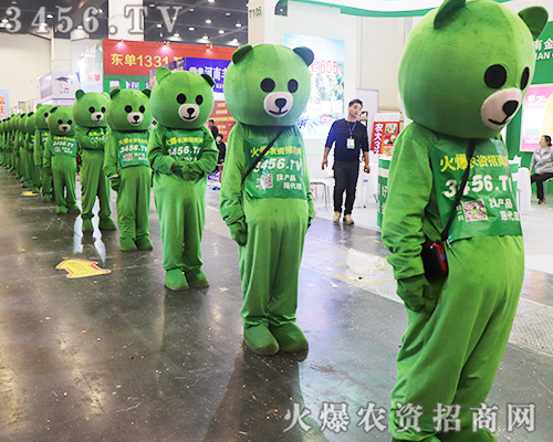 �����̏��݁��u���c����s2019����ʡֲ������