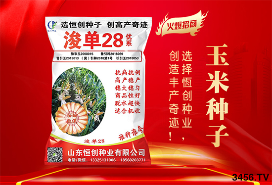 ����ُ(g��u)�N����(l��i)�R����(du��)�N����ʲô]��������һ�ӵ��x�N������