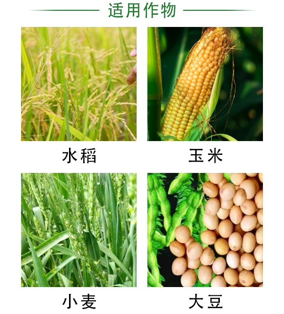 BSX-60T�ͱ��غY�x�C-�ư��r(n��ng)�I(y��)�Cе