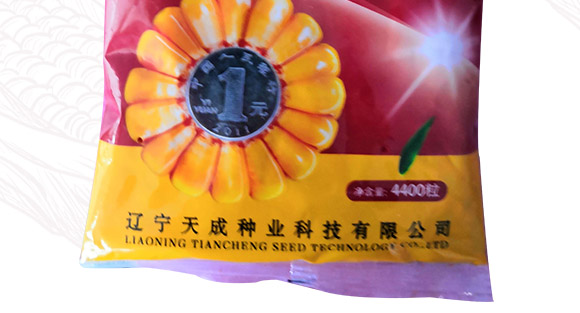佳華909-玉米種子-天成種業(yè) 佳華909-玉米種子-天成種業(yè)
