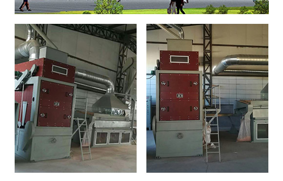 佳華909-玉米種子-天成種業(yè) 佳華909-玉米種子-天成種業(yè)