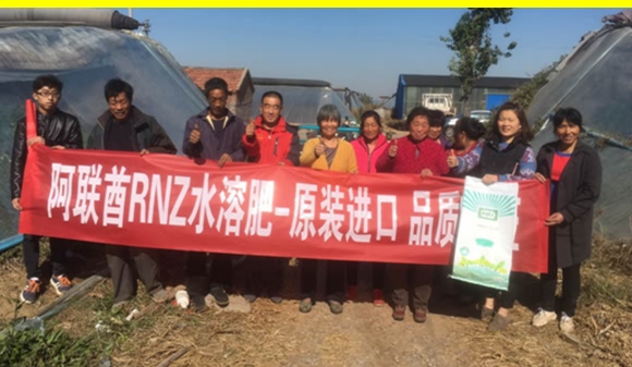 硝基復(fù)合肥16-8-21-九星惠農(nóng)