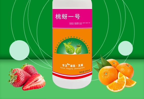 ����һ̖-����ɭ