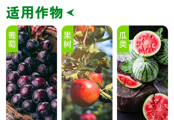 ����һ̖-����ɭ