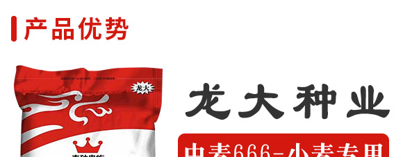 ����666-���N�F��-����N�I(y��)