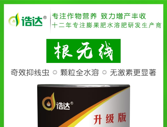 ΢�������-���o��-���_(d��)