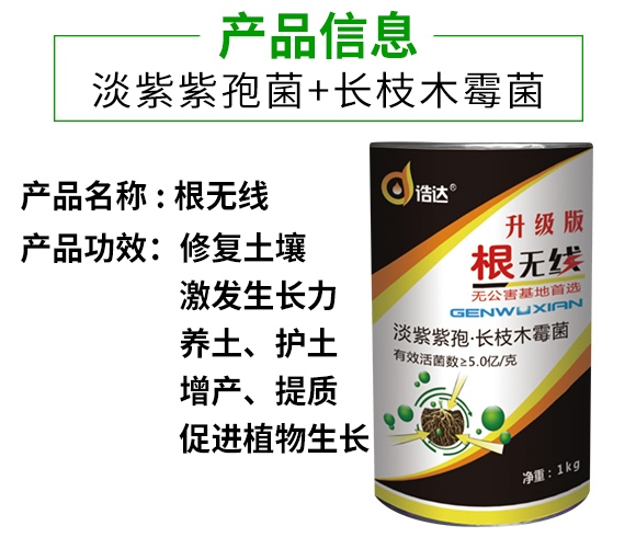 ΢�������-���o��-���_(d��)