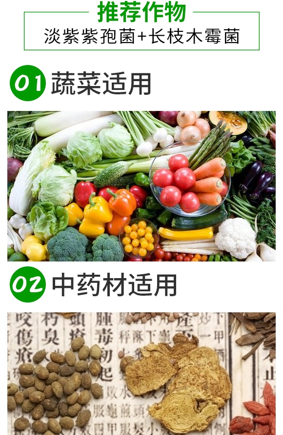 ΢�������-���o��-���_(d��)