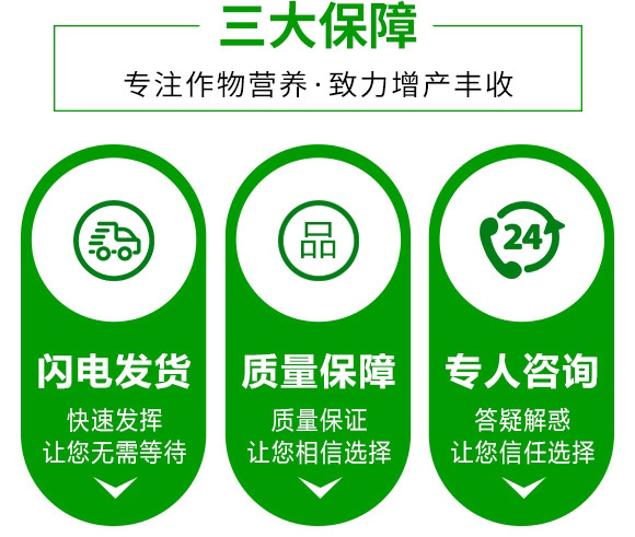 ΢�������-���o��-���_(d��)