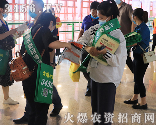 ���r(n��ng)�Y�W(w��ng)��������2020��ԭ���ϕ���