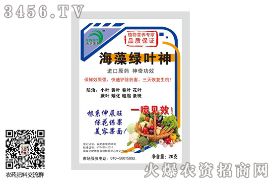 辣椒卷葉是怎么回事 辣椒卷葉打什么農(nóng)藥 辣椒卷葉是怎么回事 辣椒卷葉打什么農(nóng)藥