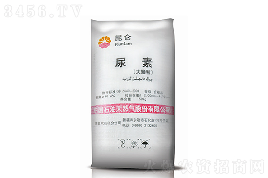 �����ϝq���g������2020-11-9�������؃r�������r