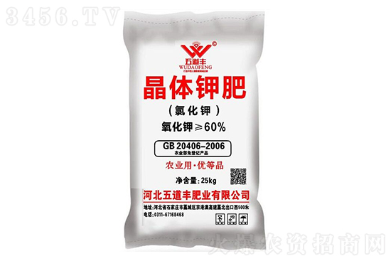 2021-1-8����⛷ʃr(ji��)�������(b��o)�r(ji��)