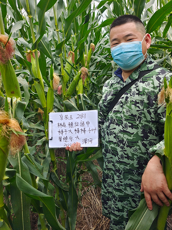 ae4371c2b8e8138885eab5de4ce97ee7_.jpg ae4371c2b8e8138885eab5de4ce97ee7_.jpg