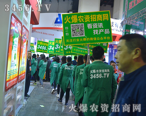 �𱬾W(w��ng)��2016������ԭ���ϕ�(hu��)�ϱM���չʾ�������L(f��ng)��