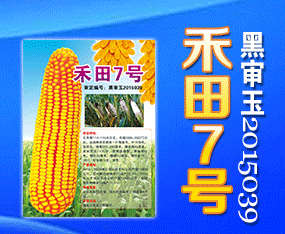 ����ʡ���\�N�I(y��)���޹�˾