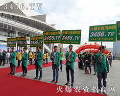 ���ഺ�]����Ѫ���È�(ji��n)���㌑(xi��)�ഺ