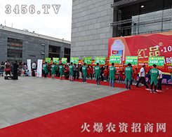 ���¿಻�������L(f��ng)�����԰��P(y��ng)