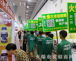 �𱬾W(w��ng)���̺�ƽ�_��ʡ�rʡ����ʡ�X