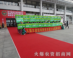 �Z�Z�������ƏV������ʮ�������