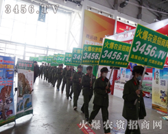 ��S���������Gɫ��(zh��n)ʿ�x�����o��؟(z��)����