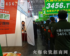 �Gɫ��(zh��n)ʿ���҂�Ŭ�����𱬓P(y��ng)����