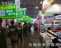 ����չӢ���L(f��ng)������ֱ�_�{(l��n)����