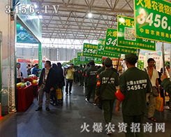 2015�����r���������r�Y���̾W������������