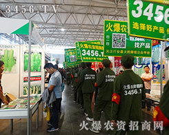 �r(n��ng)�Y�W(w��ng)�R�ąf(xi��)����2015�����r(n��ng)�Y���τ�(chu��ng)���x����