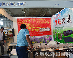 ������ݘI(y��)�N��̎����2015�����r(n��ng)����-2015��12�������r(n��ng)�Y���[��