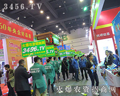 ���ͣ��e�O���ϵĻ��r(n��ng)�Y���̾W(w��ng)��(zh��n)ʿ��