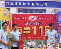 ������l(f��)�N�I(y��)���޹�˾����2016�����ļ��N�ӕ�-2016����ʡ�ļ��N����Ϣ�����߮a(ch��n)Ʒչ�[��