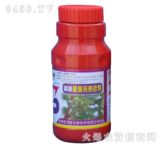 ����������˥�τ����{(di��o)��(ji��)����-�W��˹