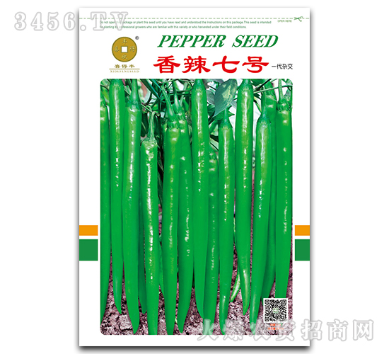 ������̖-�����N��-ϲ���S-�A��N�I(y��)