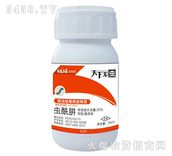 20%�x����-���o�x-�к�����