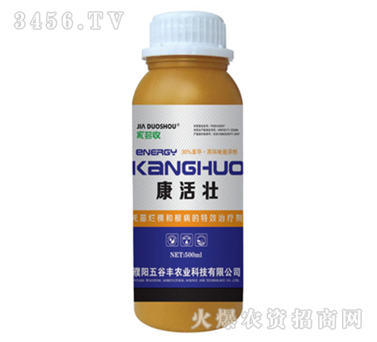 �����-�Ҷ���-����S