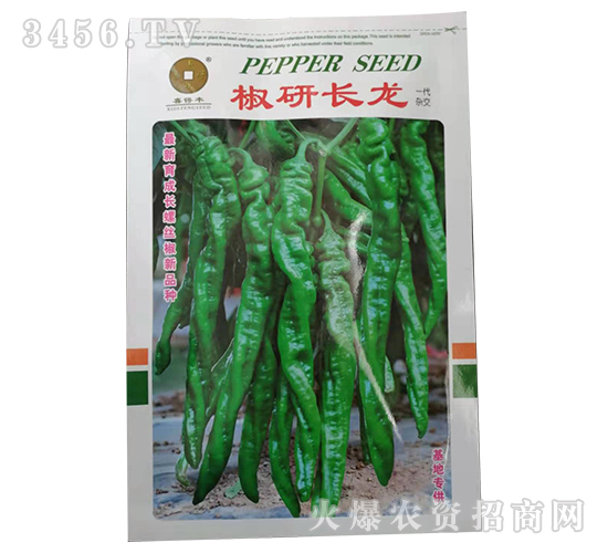 �����L(zh��ng)��-�����N��-�A��N�I(y��)