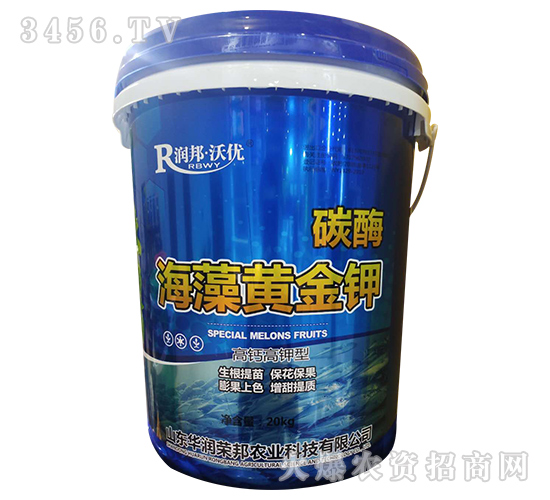 ̼ø�����S���-�A��(r��n)�s��