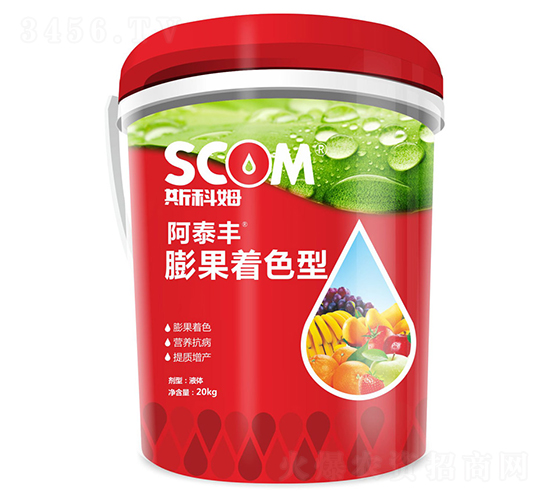 �����ɫ��-��̩�S-˹��ķ