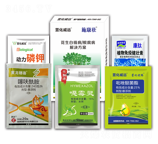 花生白絹病根腐病解決方案-施康壯-萱化威遠(yuǎn)