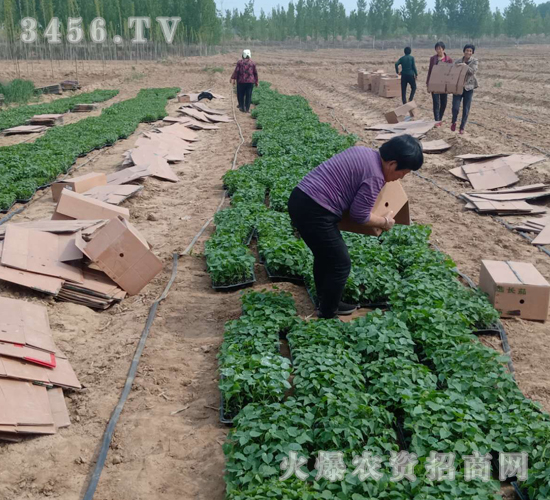 2020��鱘�ӆ�λ����(xi��ng)Ŀ8