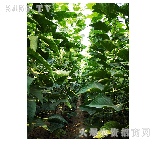 2020��鱘�ӆ�λ����Ŀ6