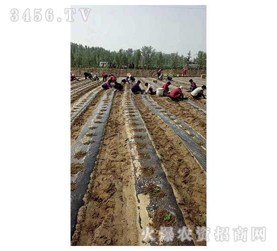 2020��鱘�ӆ�λ����(xi��ng)Ŀ2