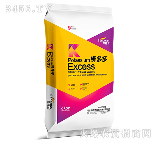 ⛶��-ʥ���m-���W