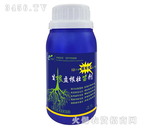 �����P�����焩-׿�R��-׿���r(n��ng)�I(y��)