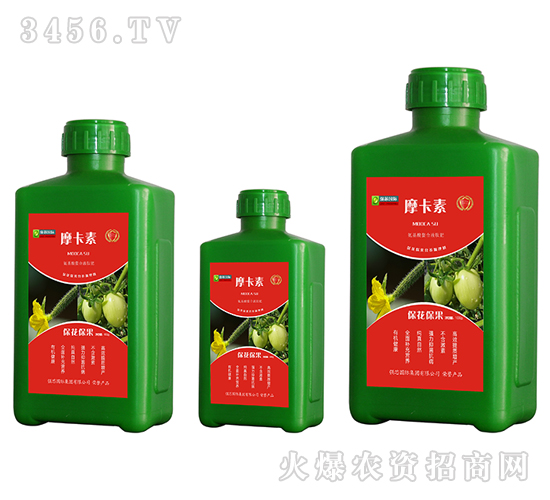 ?；ū９被狎弦弘姆?摩卡素-強芯