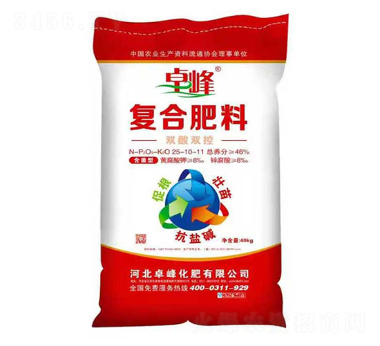 �p���p�؏ͺϷ���25-10-11-׿��