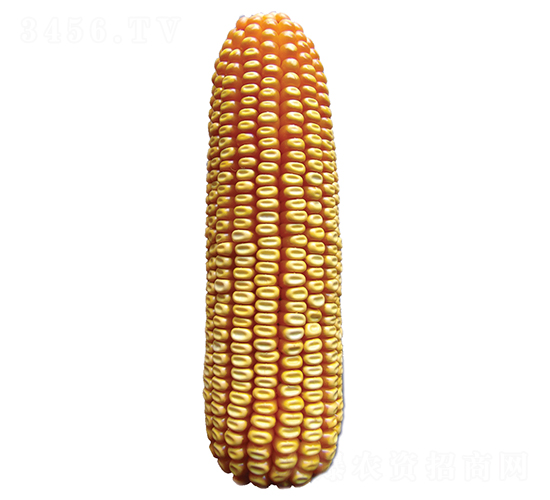 ���S612-���׷N��-ԣ�S�N�I(y��)