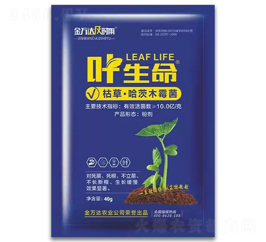 葉生命-金萬達(dá)及時(shí)雨